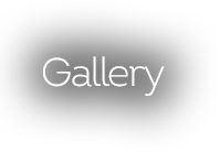 gallery-text